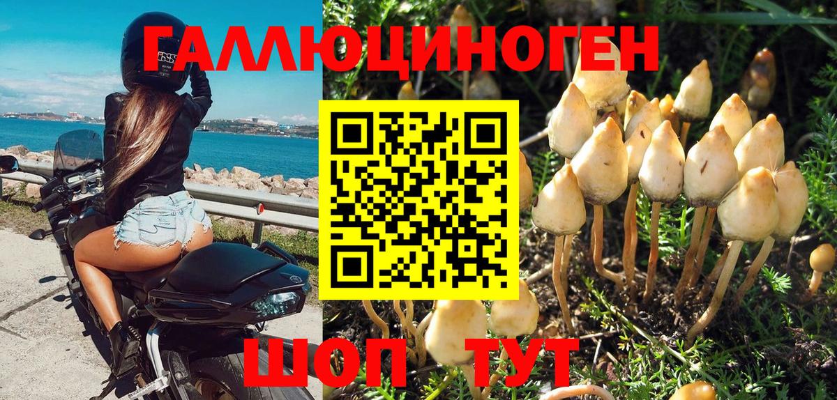 Галлюциногенные грибы Psilocybe  Вход с VPN  Удомля 