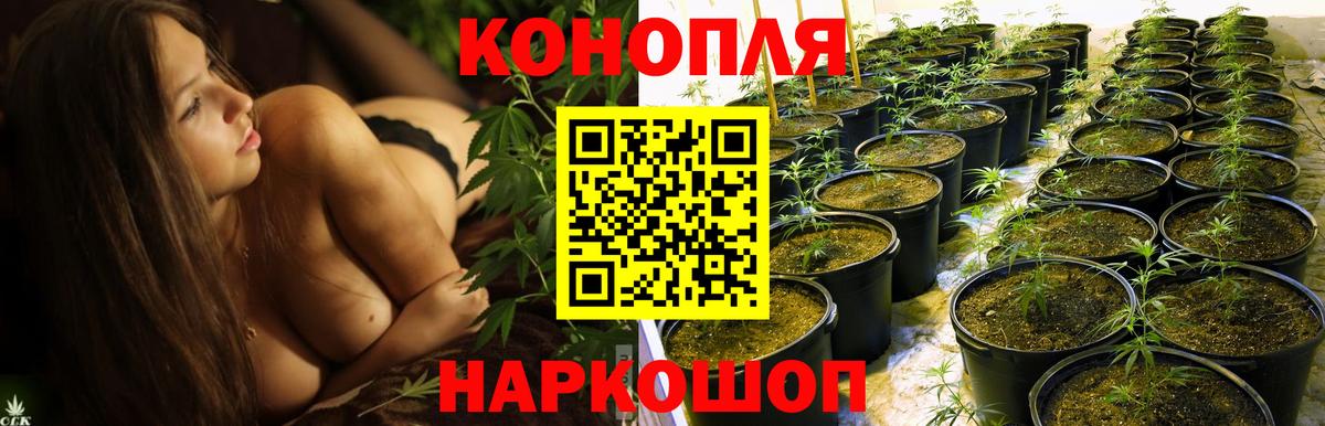 Бошки марихуана Ganja  Канабис OG Kush  Марихуана план  Удомля  Вход с VPN 